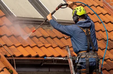 Démoussage et hydrofuge de toiture à Chaintré